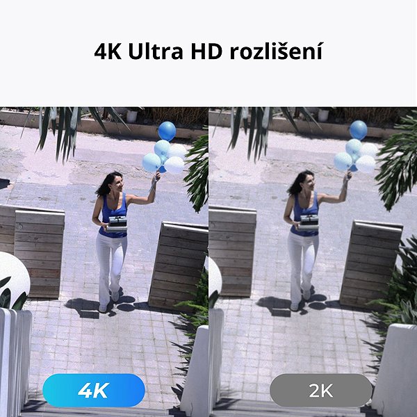 IP camera Reolink P430 black .