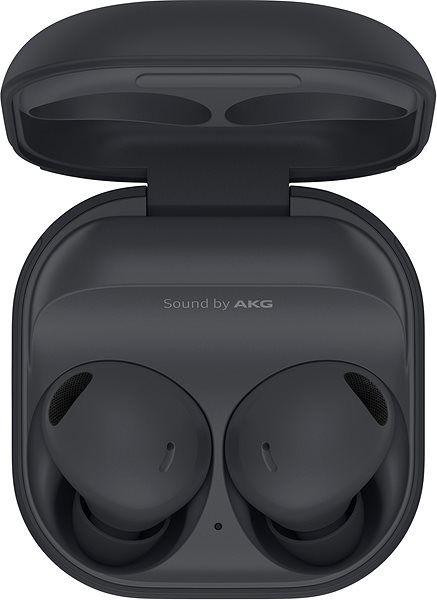 Wireless Headphones Samsung Galaxy Buds2 Pro graphite ...