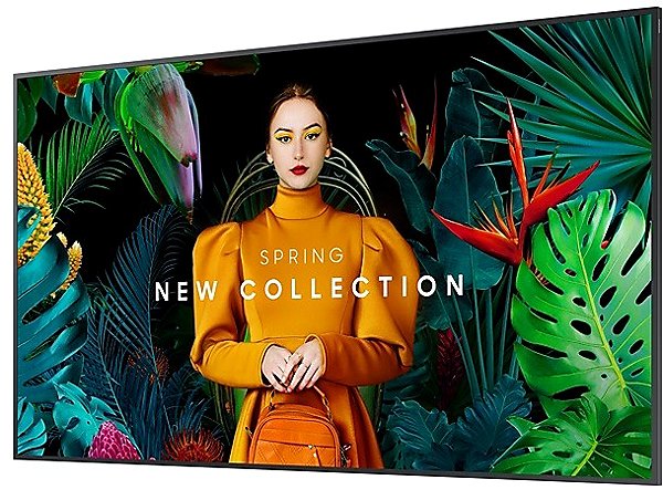 Large-Format Display 65