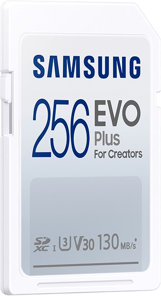 Speicherkarte Samsung SDXC 256 GB EVO PLUS ...