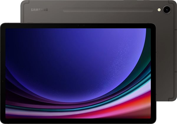 Tablet Samsung Galaxy Tab S9 Wifi 12GB/256GB graphite ...