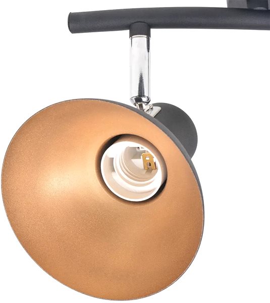 Ceiling Light Ceiling Light for 2 Bulbs E27, Black-gold Features/technology