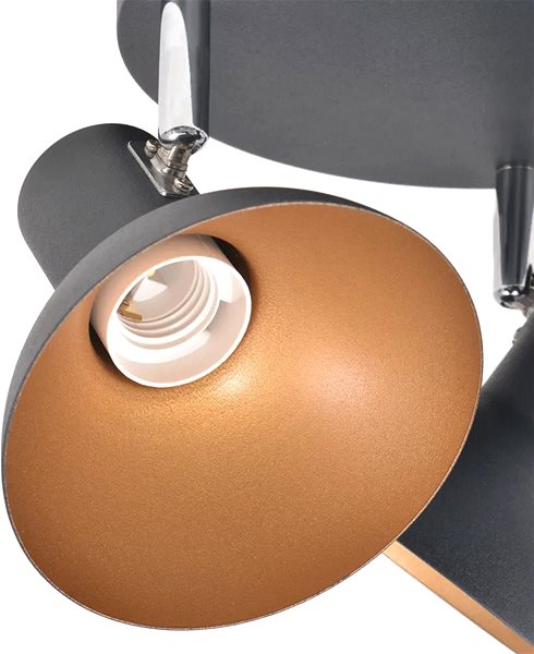 Ceiling Light Ceiling Light for 3 Bulbs E27, Black-gold Features/technology