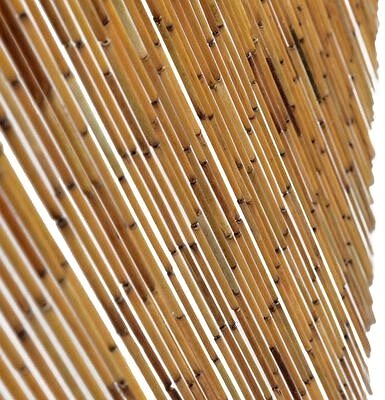 Sieťka na okno Dverový záves proti hmyzu, bambus, 56 × 185 cm Vlastnosti/technológia