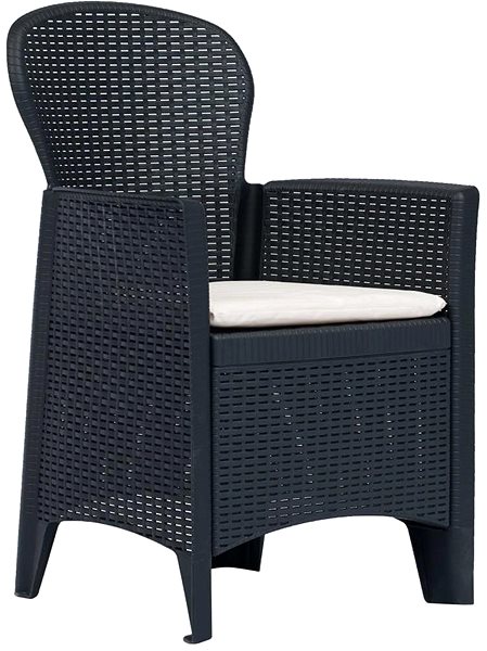 Záhradná stolička Záhradná stolička 2 ks + podušky antracitové plast ratanový vzhľad 45599 Bočný pohľad