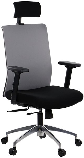 Office Chair Swivel chair with extended seat RIVERTON F/H/AL, various colours, black/grey ...