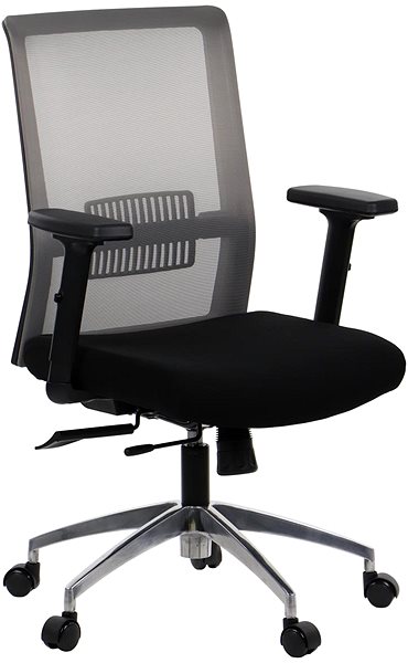 Office Chair Swivel chair with extended seat RIVERTON M/L/AL, various colours, black-grey ...