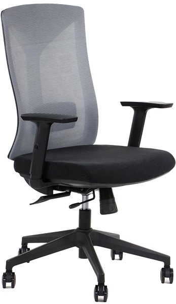 Office Chair Swivel chair PREMIUM HAGER grey ...