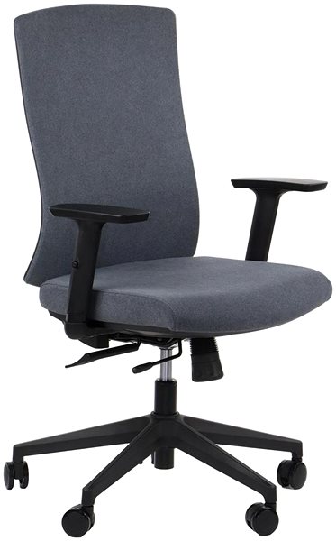 Office Chair Swivel chair PREMIUM TONO graphite ...