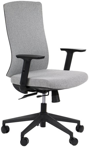 Office Chair Swivel chair PREMIUM TONO grey ...