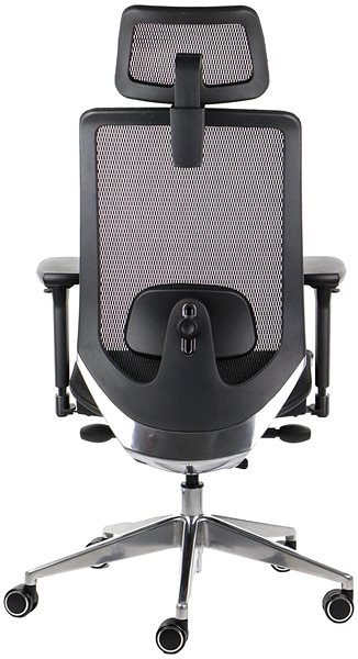 Office Chair Swivel chair PREMIUM DITTER black ...