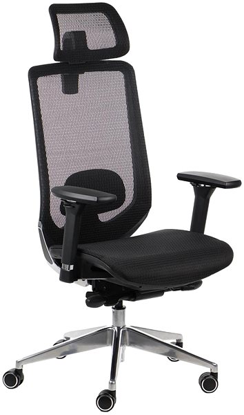 Office Chair Swivel chair PREMIUM DITTER black ...