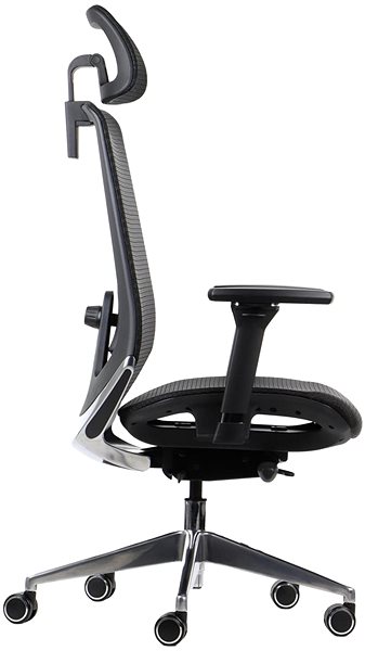 Office Chair Swivel chair PREMIUM DITTER black ...