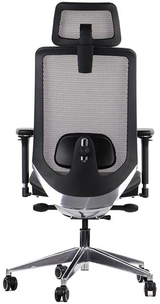 Office Chair Swivel chair PREMIUM DITTER grey ...