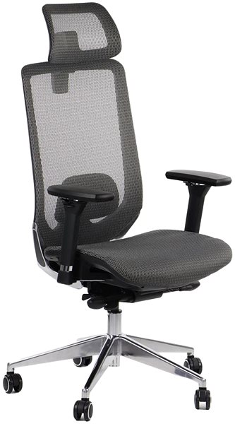 Office Chair Swivel chair PREMIUM DITTER grey ...