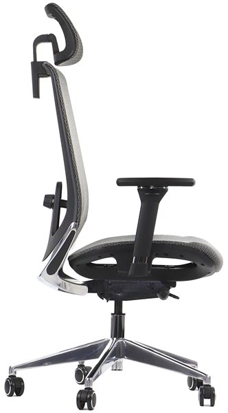 Office Chair Swivel chair PREMIUM DITTER grey ...