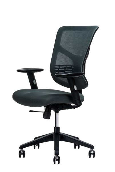 Office Chair Setulo Sotis anthracite ...
