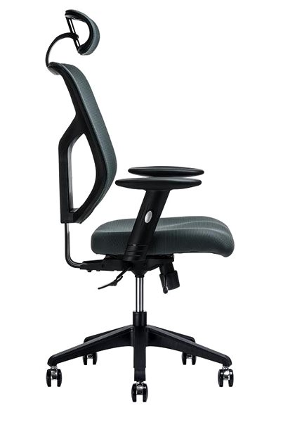 Office Chair Setulo Sotis with headrest anthracite ...