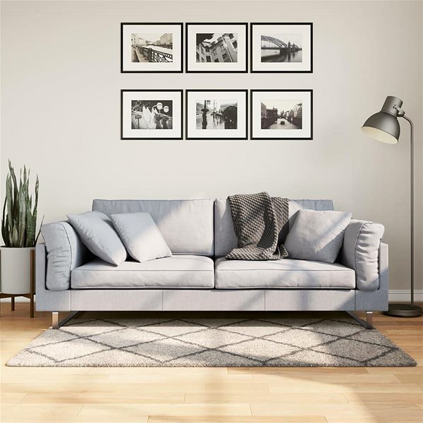 Shumee PAMPLONA shaggy rug, beige and anthracite, 80×150cm .