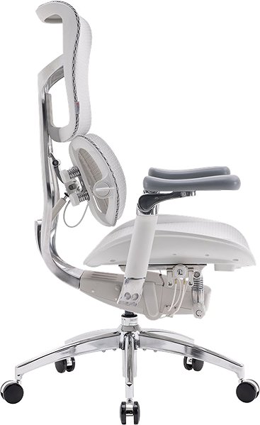 Office Chair SIHOO DORO S300 Mesh Light Grey ...