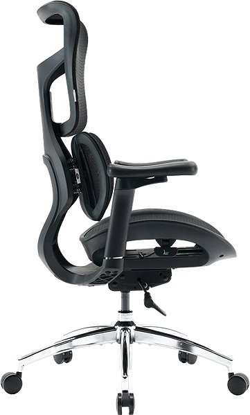 Bürostuhl SIHOO DORO S100 Mesh schwarz ...