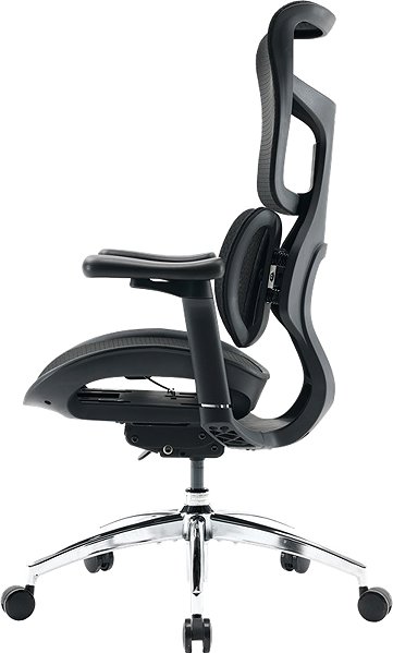 Bürostuhl SIHOO DORO S100 Mesh schwarz ...
