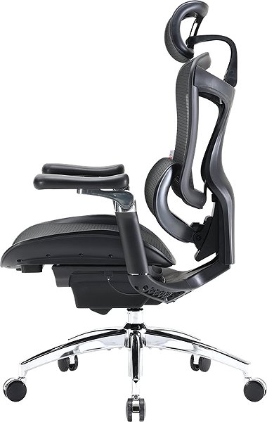 Office Chair SIHOO DORO C300 Pro Mesh Black ...