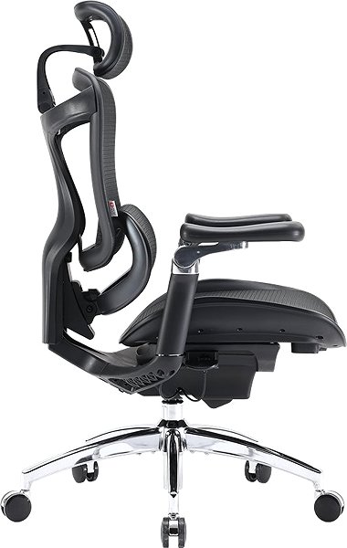 Office Chair SIHOO DORO C300 Pro Mesh Black ...