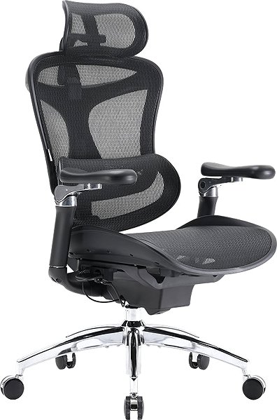 Bürostuhl SIHOO DORO C300 Pro Mesh schwarz ...