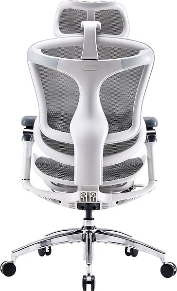 Office Chair SIHOO DORO C300 Pro Mesh White ...