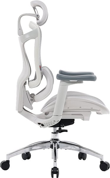 Bürostuhl SIHOO DORO C300L Mesh weiß ...