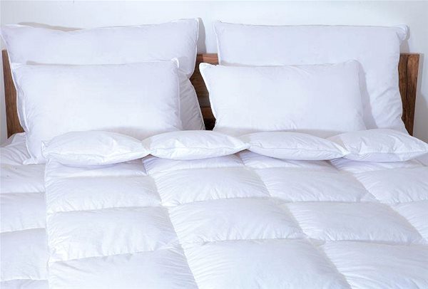 Párna SCANquilt COMTESSA PLUS Toll töltetű párna ...