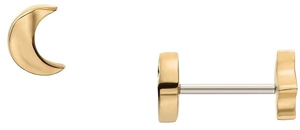 Skagen Anja women's earrings SKJ1891710.