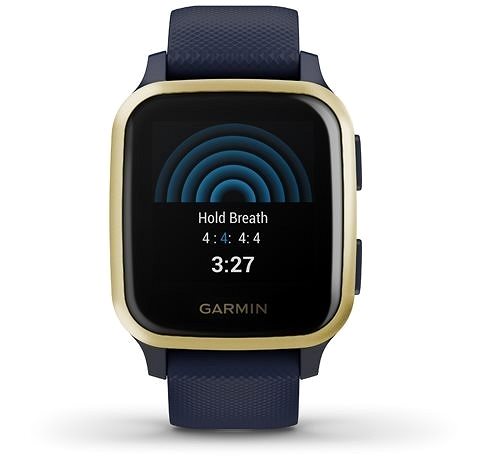 Smart Watch Garmin Venu Sq Music LightGold/Blue Band Screen