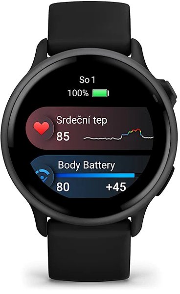 Smart Watch Garmin Vívoactive 6 Slate/Black Band ...