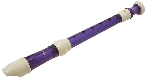 Zobcová flauta SMART WRS-228BM (PU) ...