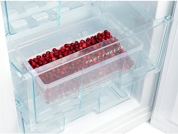Refrigerator SNAIGE RF35SM-P1CB2E ...