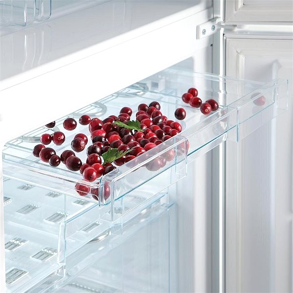 Refrigerator SNAIGE RF35SM-P1CB2E ...