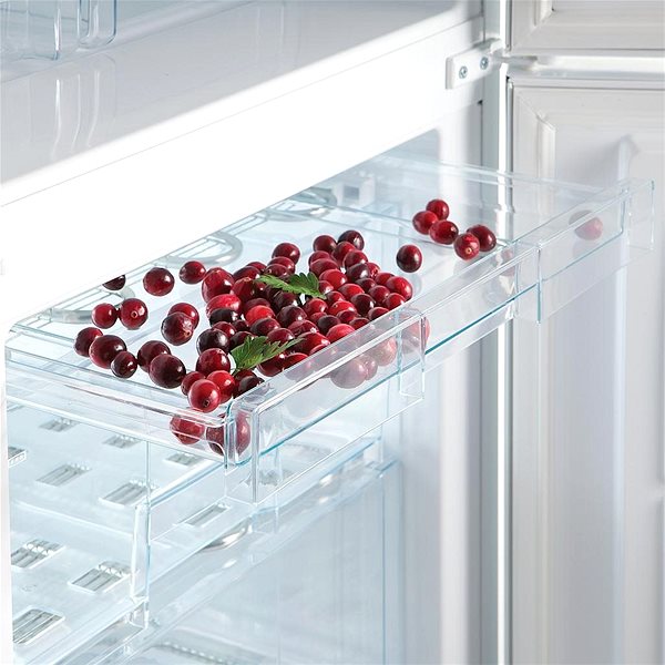 Refrigerator SNAIGE RF53SM-S5RP2F Lifestyle 3