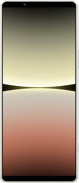 Handy Sony Xperia 5 IV 5G ...
