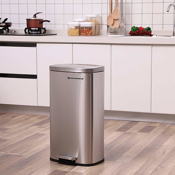Rubbish Bin Songmics Waste bin with lid DORO 30 L, silver ...