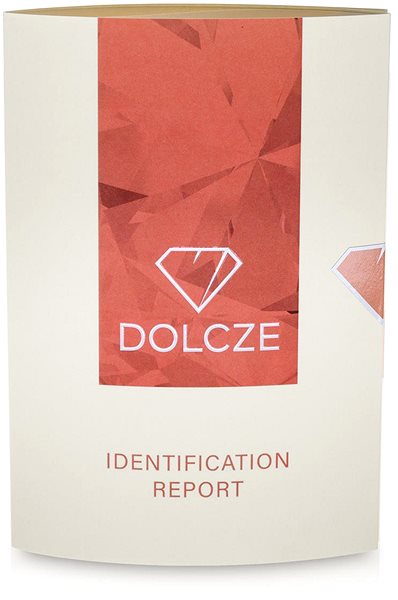 Náušnice DOLCZE Leo RG Black 231013 (Au 585/1000, 1,10g) ...