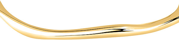 TRUSSARDI T-DESIGN TJAXA01 Bracelet .