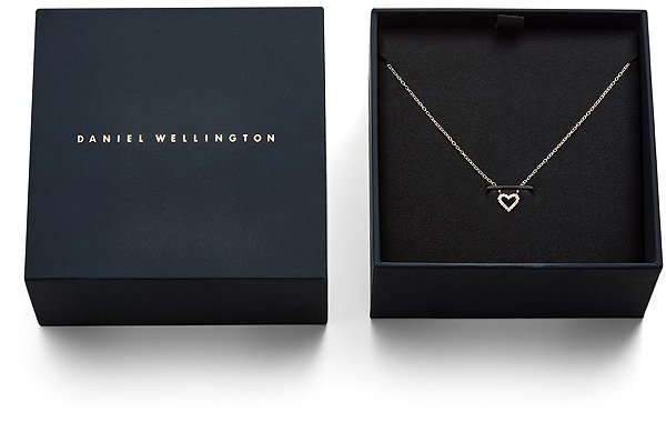 DANIEL WELLINGTON DW00401629 Necklace.