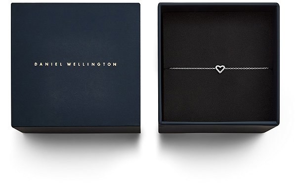 DANIEL WELLINGTON DW00401619 Bracelet.