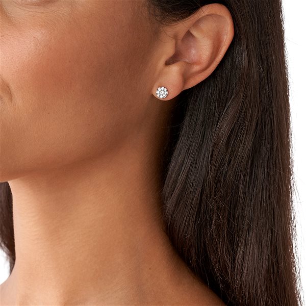 FOSSIL VINTAGE GLITZ JF00828040 earrings.