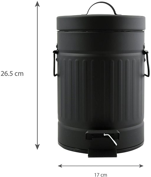 Rubbish Bin MSV pedal bin Habana, black, steel, with handles, 3 l ...