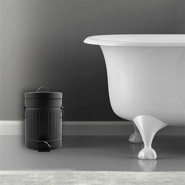 Rubbish Bin MSV pedal bin Habana, black, steel, with handles, 3 l ...