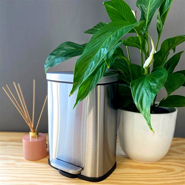 Rubbish Bin Spirella pedal bin Akira, brushed stainless steel, 5 l ...
