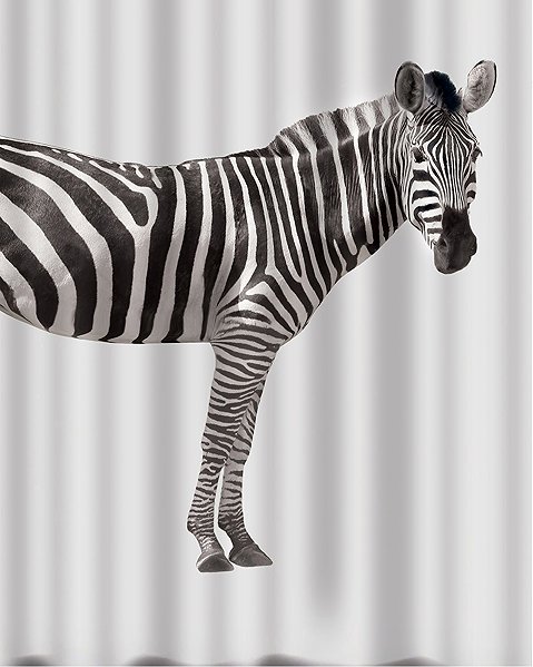 Sprchový záves Spirella sprchový záves ZEBRA, bielo-čierny, 180 × 200 cm, polyester ...